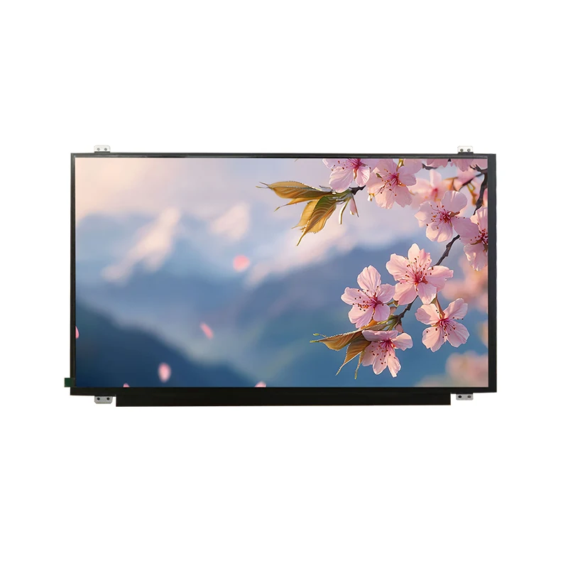 15.6 'HD Wide Temp IPS TFT LCD Screen Modul
